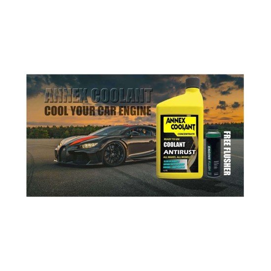 Tasslock Annex Anti rust Coolant with flush cleaner